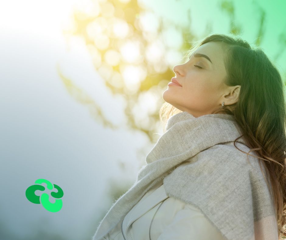 Illustration representing menopause and perimenopause support